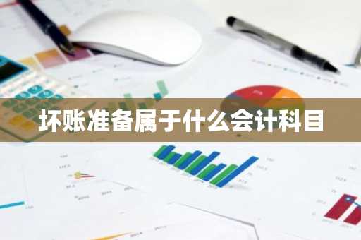 坏账准备属于什么会计科目
