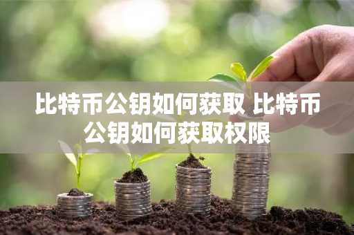 比特币公钥如何获取 比特币公钥如何获取权限