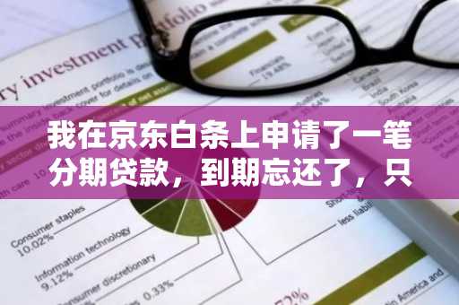 我在京东白条上申请了一笔分期贷款，到期忘还了，只逾期了一天，会怎样？