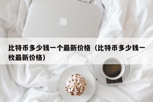 比特币多少钱一个最新价格（比特币多少钱一枚最新价格）
