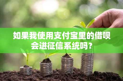 如果我使用支付宝里的借呗会进征信系统吗？