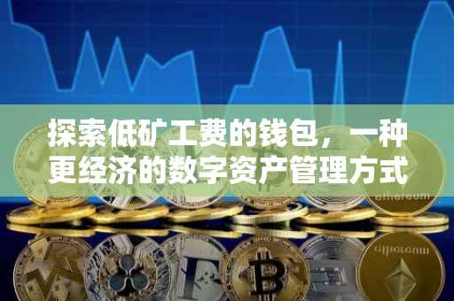 探索低矿工费的钱包，一种更经济的数字资产管理方式