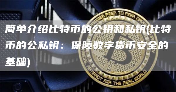 简单介绍比特币的公钥和私钥 - 比特币的公私钥：保障数字货比特币全的基础