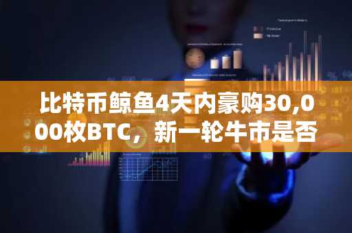 比特币鲸鱼4天内豪购30,000枚BTC，新一轮牛市是否即将到来？
