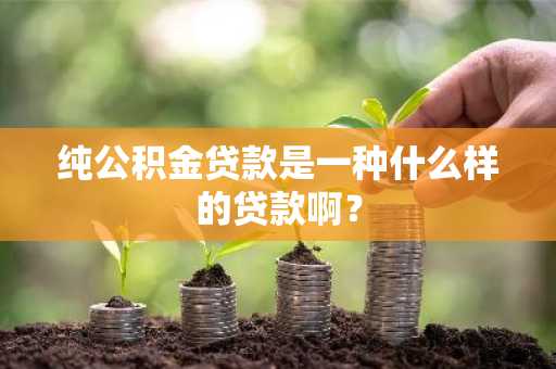 纯公积金贷款是一种什么样的贷款啊？