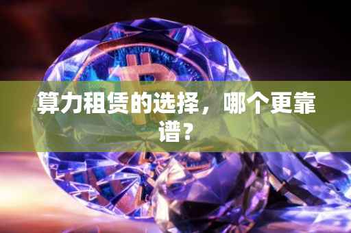 算力租赁的选择，哪个更靠谱？