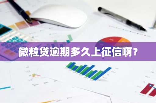 微粒贷逾期多久上征信啊？