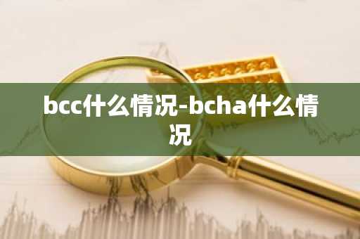 bcc什么情况-bcha什么情况