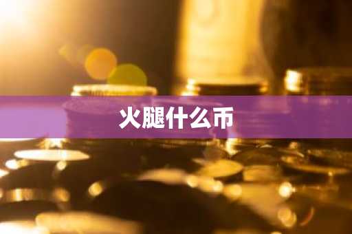 火腿什么币
