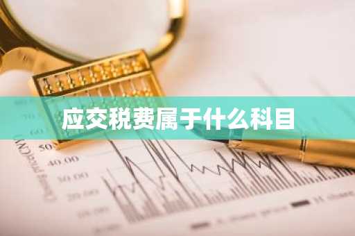 应交税费属于什么科目