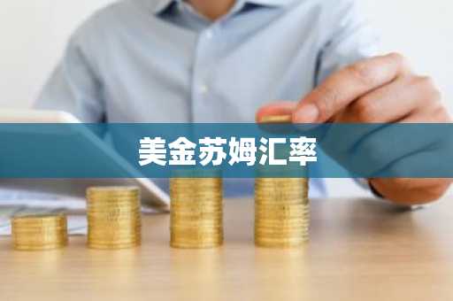 美金苏姆汇率
