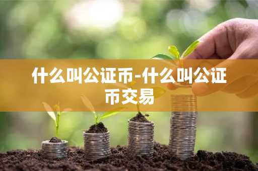 什么叫公证币-什么叫公证币交易