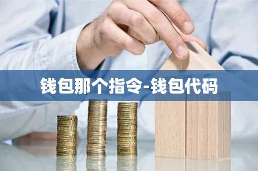 钱包那个指令-钱包代码