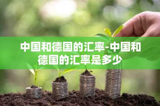 中国和德国的汇率-中国和德国的汇率是多少