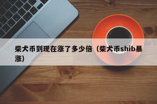 柴犬币到现在涨了多少倍（柴犬币shib暴涨）