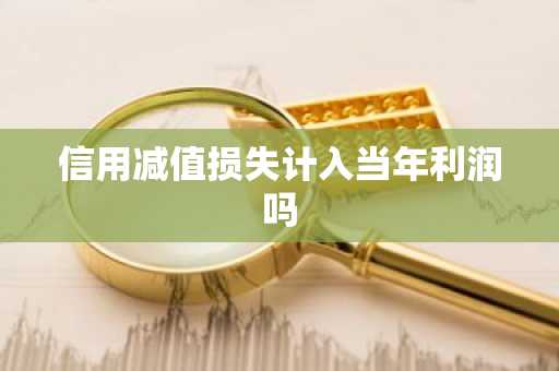 信用减值损失计入当年利润吗