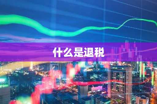 什么是退税