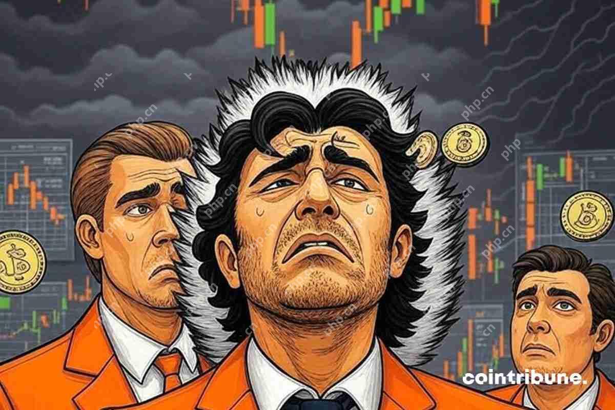 对于押注锁定令牌的投资者来说，加密市场面临着一个苛刻的现实。