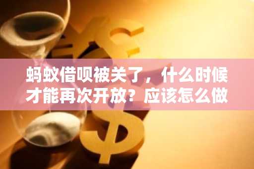 蚂蚁借呗被关了，什么时候才能再次开放？应该怎么做？