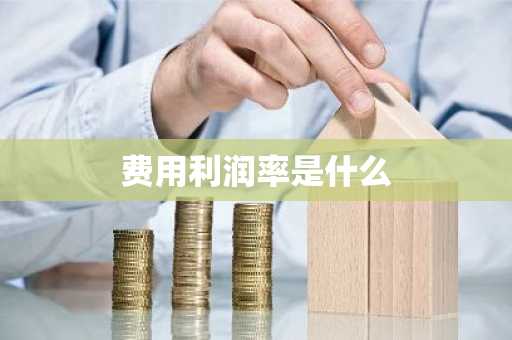 费用利润率是什么