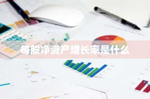 每股净资产增长率是什么