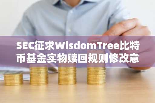 SEC征求WisdomTree比特币基金实物赎回规则修改意见