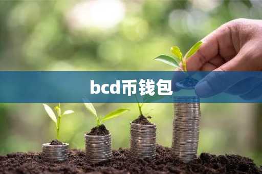 bcd币钱包