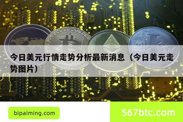今日美元行情走势分析最新消息（今日美元走势图片）