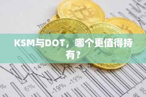 KSM与DOT，哪个更值得持有？