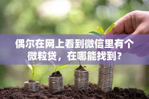 偶尔在网上看到微信里有个微粒贷，在哪能找到？