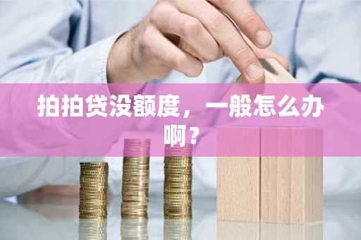 拍拍贷没额度，一般怎么办啊？