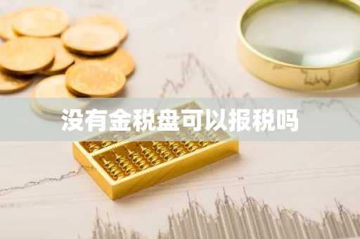 没有金税盘可以报税吗
