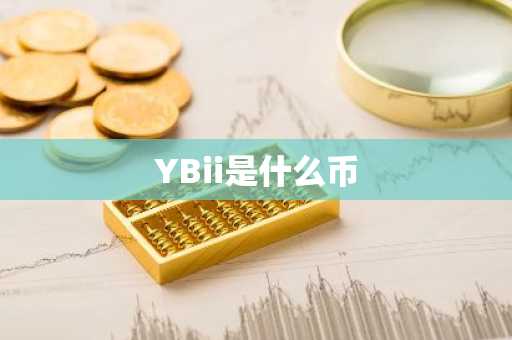 YBii是什么币