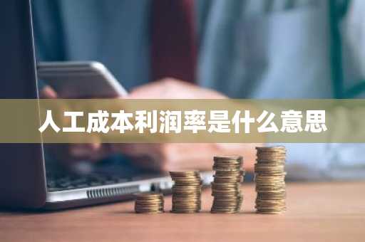 人工成本利润率是什么意思
