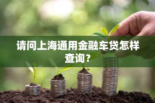 请问上海通用金融车贷怎样查询？