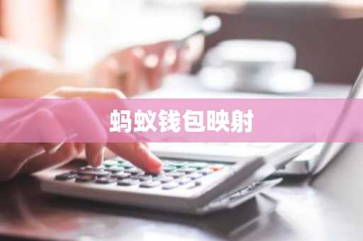 蚂蚁钱包映射