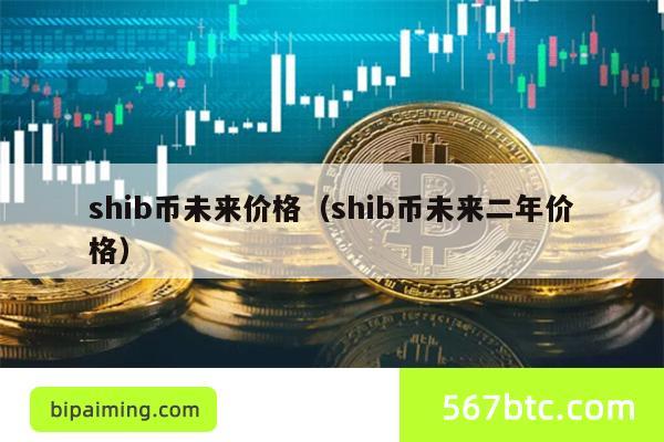 shib币未来价格（shib币未来二年价格）