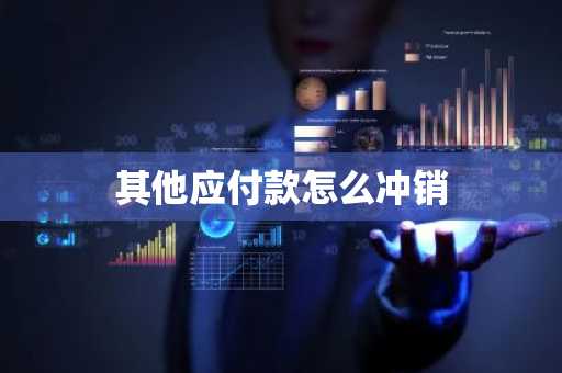 其他应付款怎么冲销