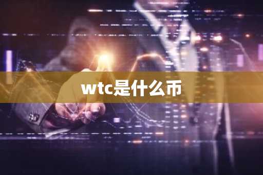 wtc是什么币