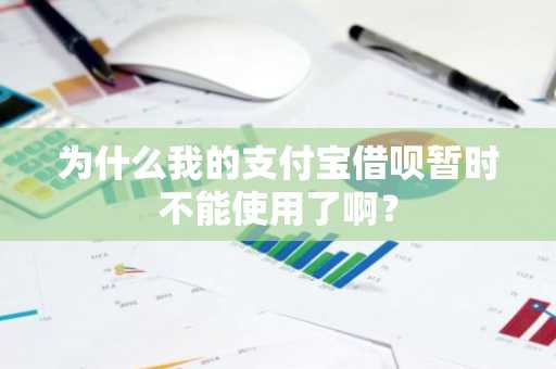 为什么我的支付宝借呗暂时不能使用了啊？