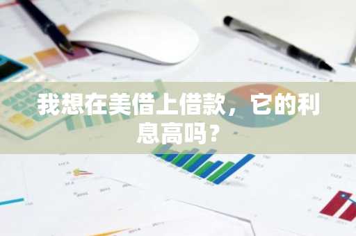 我想在美借上借款，它的利息高吗？