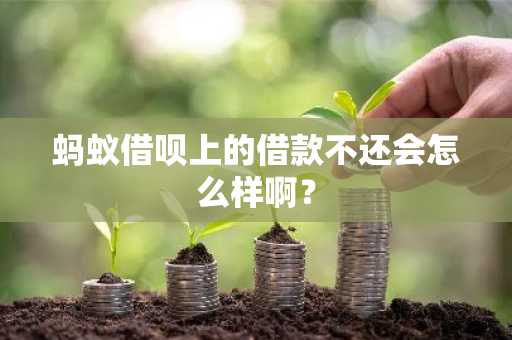 蚂蚁借呗上的借款不还会怎么样啊？