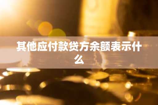 其他应付款贷方余额表示什么