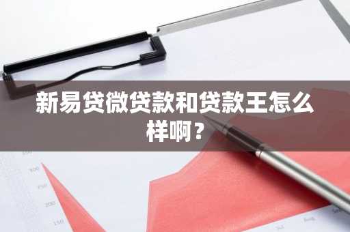 新易贷微贷款和贷款王怎么样啊？