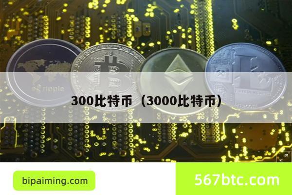 300比特币（3000比特币）
