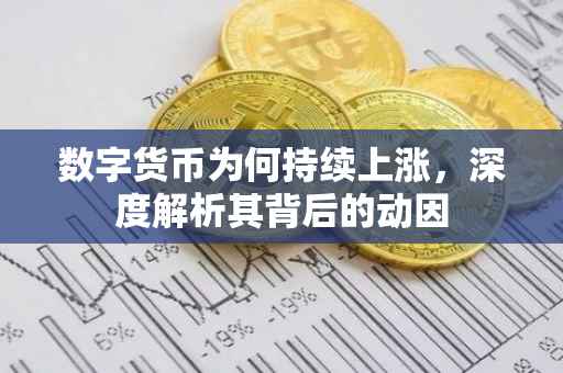 数字货币为何持续上涨，深度解析其背后的动因