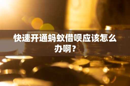 快速开通蚂蚁借呗应该怎么办啊？