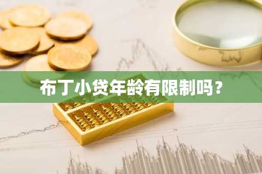 布丁小贷年龄有限制吗？