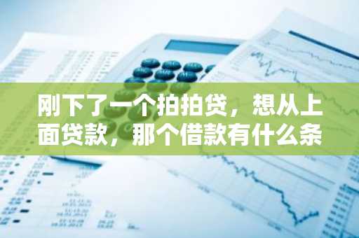 刚下了一个拍拍贷，想从上面贷款，那个借款有什么条件吗？
