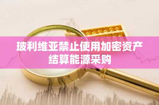 玻利维亚禁止使用加密资产结算能源采购